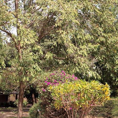 Yuna Village Garden Resort Tubaya Eksteriør bilde